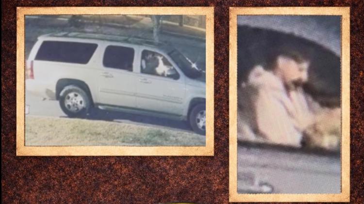 Searching for South Fulton Ermittlungen: Context Reveals Gaps